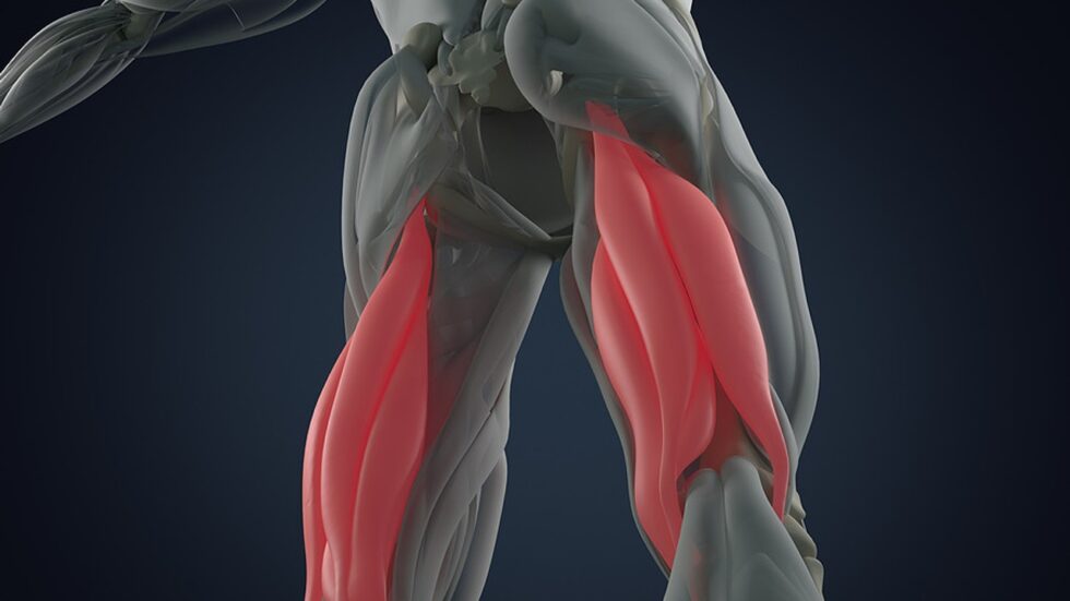 Beware of Stretching Your Hamstrings - Jessica Kisiel Wellness Blog