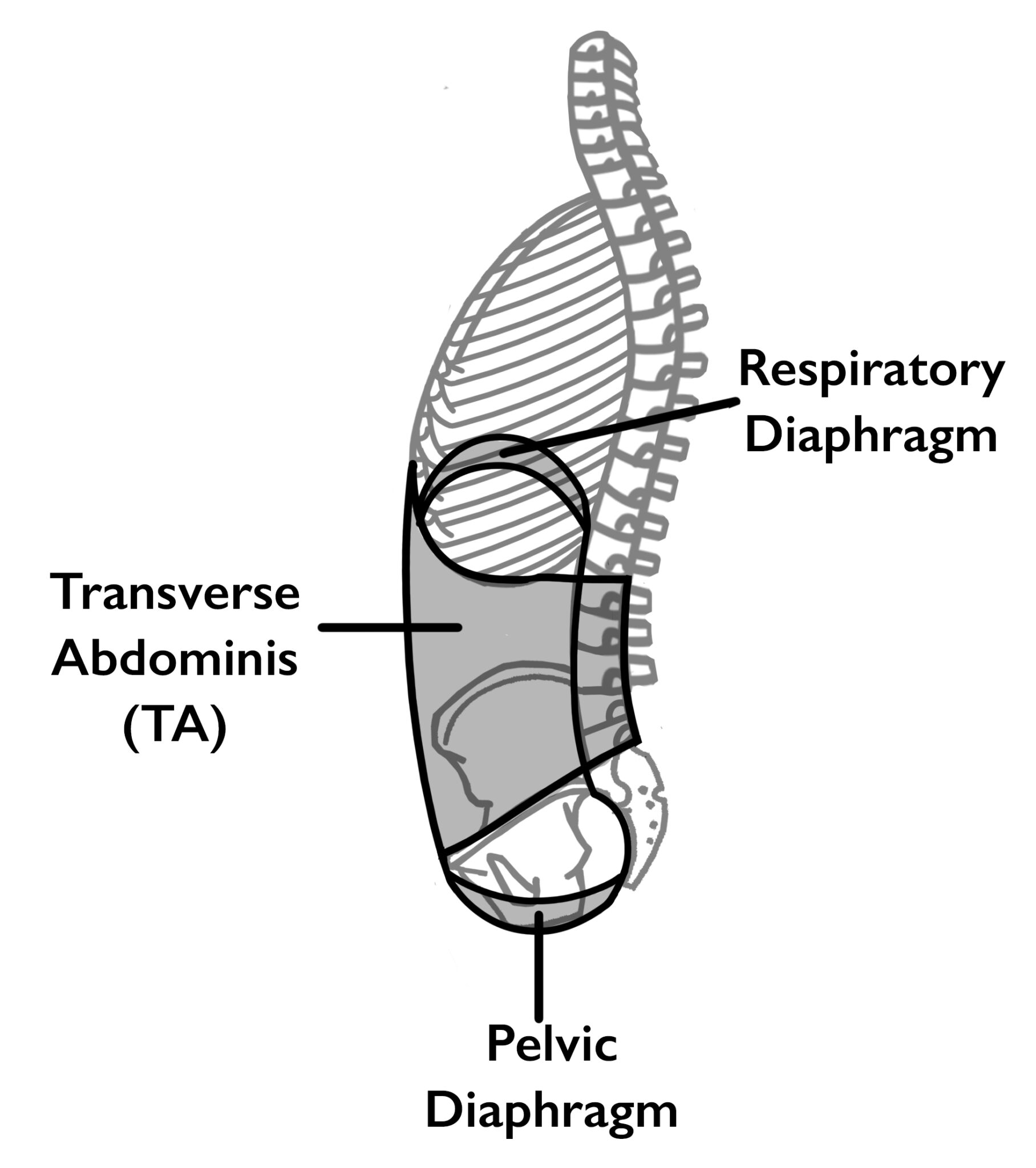 The Connection Between Neck Pain and Breathing