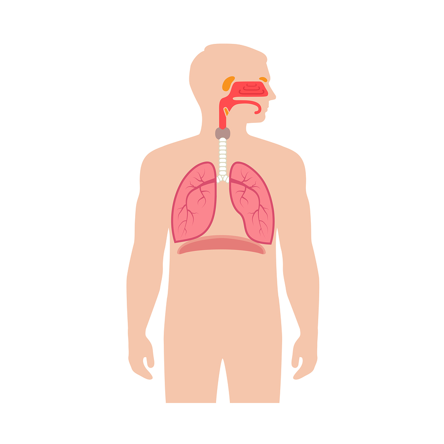 Breathe Better: Use Your Nose